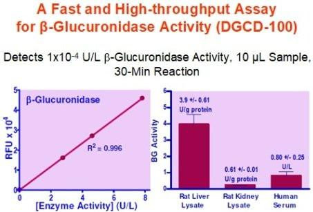 beta-Glucuronidase Assay Kit (BA0217)