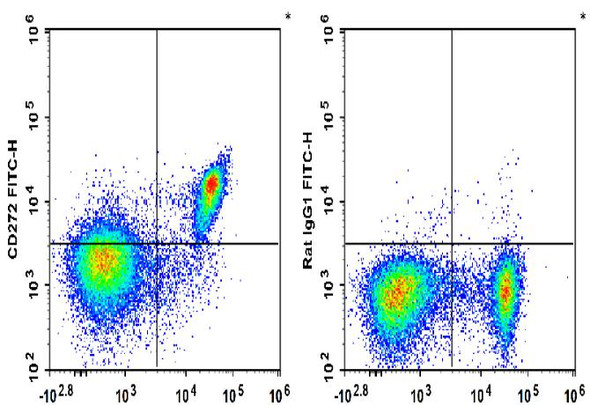 FITC Anti-Mouse CD272 Antibody [PK18.6] (AGEL3186)