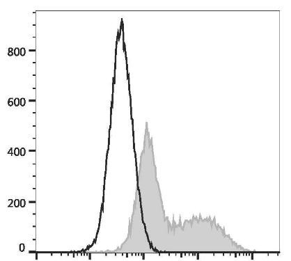 PE/GenieFluor 594 Anti-Mouse IFN-κ Antibody [XMG1.2] (AGEL3244)