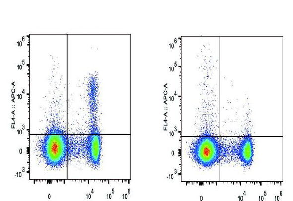 APC Anti-Mouse CD25 Antibody [PC-61.5.3] (AGEL3248)