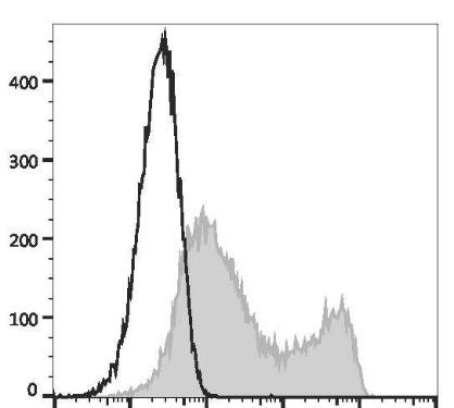 PE Anti-Human CD134 Antibody [Ber-ACT35] (AGEL3269)