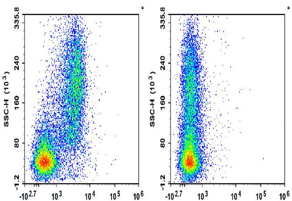 Biotin Anti-Mouse CD51 Antibody [RMV-7] (AGEL3347)