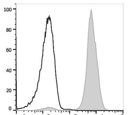 GenieFluor Violet 450 Anti-Mouse H-2 Antibody [M1/42] (AGEL3383)