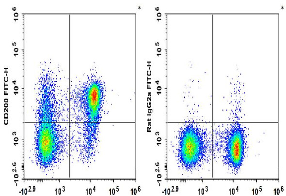 FITC Anti-Mouse CD200 Antibody [OX-90] (AGEL3385)