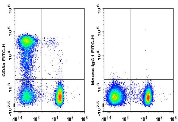 FITC Anti-Human CD8a Antibody [HIT8a] (AGEL3391)