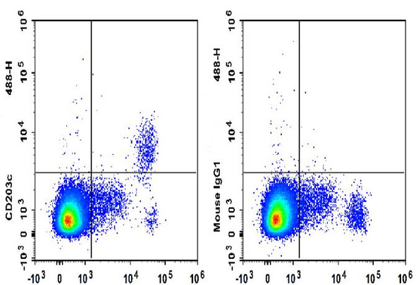 GenieFluor 488 Anti-Human CD203c Antibody [NP4D6] (AGEL3400)