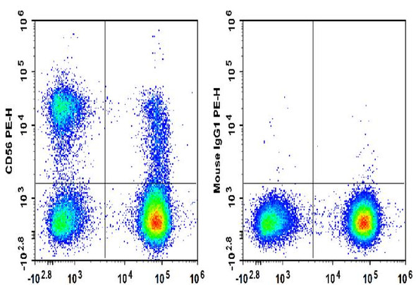 PE Anti-Human CD56 Antibody [B-A19] (AGEL3418)