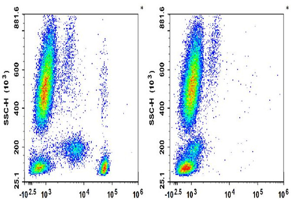 FITC Anti-Human CD4 Antibody [SK3] (AGEL3442)