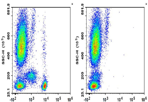 GenieFluor Violet 450 Anti-Human CD4 Antibody [SK3] (AGEL3450)