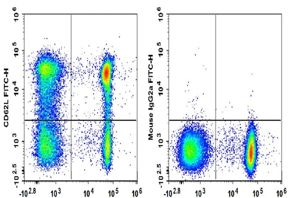 FITC Anti-Human CD62L Antibody [HI62L] (AGEL3484)