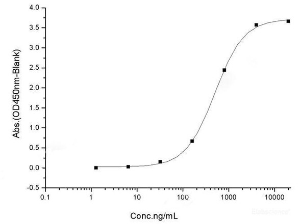 SARS-CoV Spike S1+S2 ECD-His Recombinant Protein (S577A, Isolate Tor2)