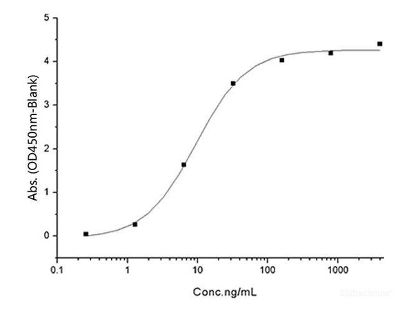 Recombinant SARS-CoV-2 Spike RBD (E484Q) (His Tag)