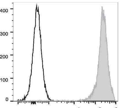 FITC Anti-Rat CD90/Mouse CD90.1 Antibody [OX-7] (AGEL2440)