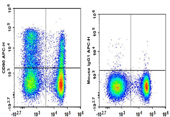APC Anti-Rat CD90/Mouse CD90.1 Antibody [OX-7] (AGEL2442)