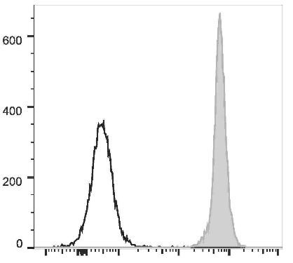 FITC Anti-Rat CD45 Antibody [OX-1] (AGEL2444)