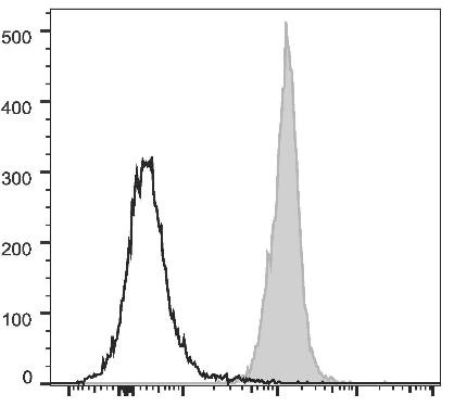 PE/Cyanine5 Anti-Rat CD45 Antibody [OX-1] (AGEL2452)