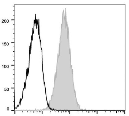 APC Anti-Mouse CD105 Antibody [MJ7/18] (AGEL2472)