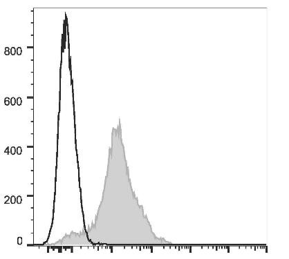GenieFluor Violet 450 Anti-Human/Mouse CD44 Antibody [IM7] (AGEL2719)