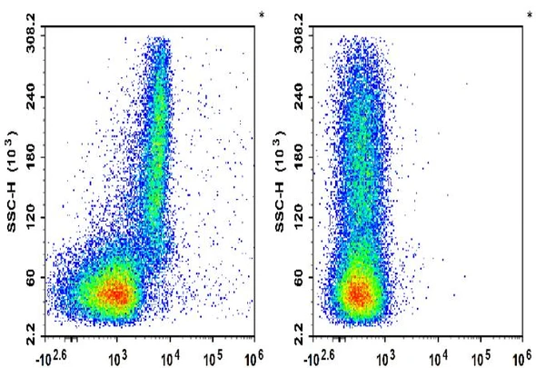 APC Anti-Mouse CD51 Antibody [RMV-7] (AGEL2726)