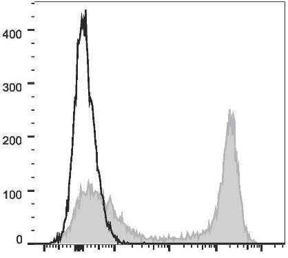 PE/Cyanine7 Anti-Mouse/Human CD11b Antibody [M1/70] (AGEL2168)