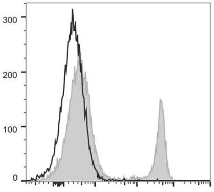 PerCP/Cyanine5.5 Anti-Mouse CD4 Antibody [GK1.5] (AGEL2192)