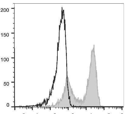 FITC Anti-Mouse TCRκ Antibody [H57-597 (HB218)] (AGEL2242)