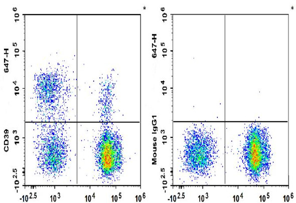 GenieFluor 647 Anti-Human CD39 Antibody [A1] (AGEL2295)