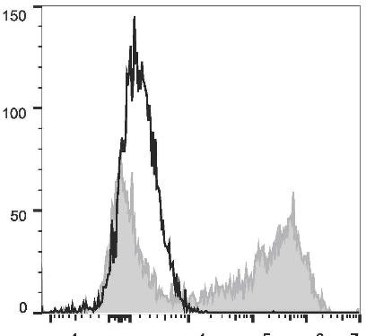 PE Anti-Mouse IL-2 Antibody [JES6-5H4] (AGEL2378)