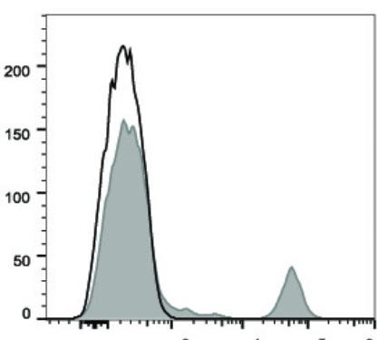 FITC Anti-Human CD20 Antibody [2H7] (AGEL2392)