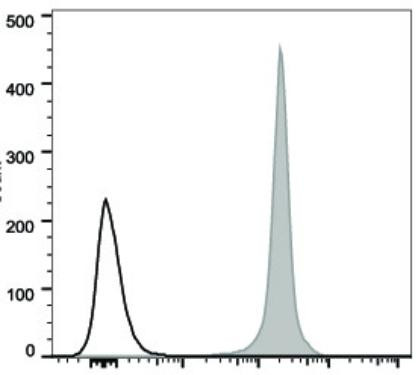 PerCP/Cyanine5.5 Anti-Human CD44 Antibody [Hermes-1] (AGEL2407)