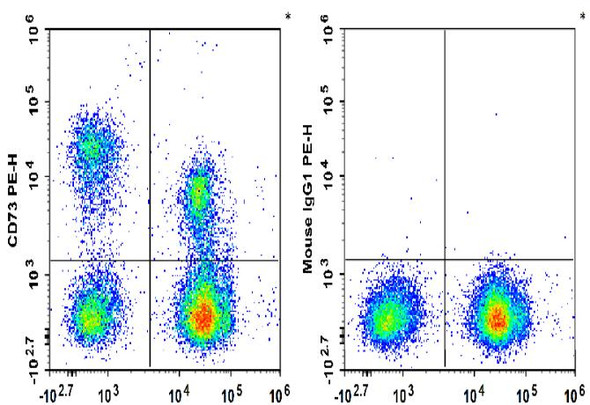 PE Anti-Human CD73 Antibody [AD2] (AGEL2489)