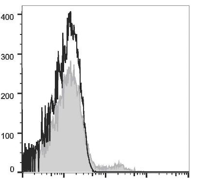 GenieFluor Violet 450 Anti-Human CD19 Antibody [CB19] (AGEL2767)