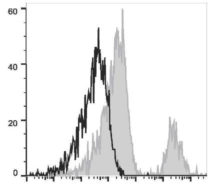 APC Anti-Human CD20 Antibody [BCA/B20] (AGEL2814)