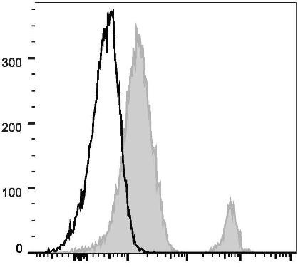 GenieFluor 488 Anti-Human CD37 Antibody [IPO-24] (AGEL2834)