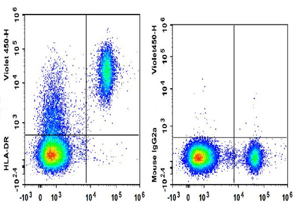 GenieFluor Violet 450 Anti-Human HLA-DR Antibody [L243] (AGEL3091)