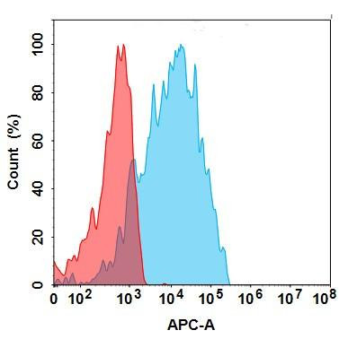 CEACAM5 (Chongqing Precision biosimilar) mAb (HDBS0163)