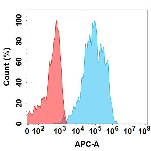 B7-H4 (XMT-1660 biosimilar) mAb (HDBS0174)