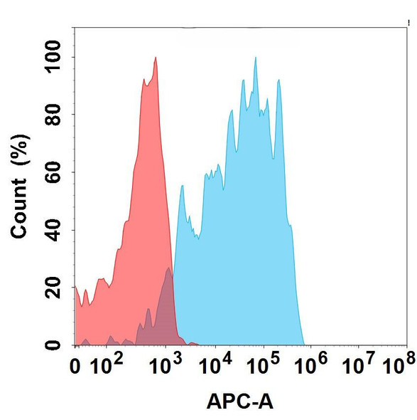 GPRC5D (LBL-034 biosimilar) mAb (HDBS0180)