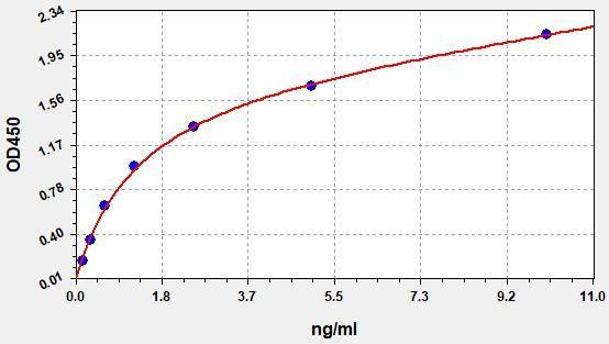 Human METTL4 (Methyltransferase-like protein 4) ELISA Kit (AEFI01277)