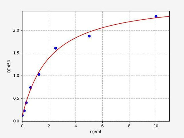 Rat ENPEP (Glutamyl aminopeptidase) ColorStep ELISA Kit (AEFI02787)
