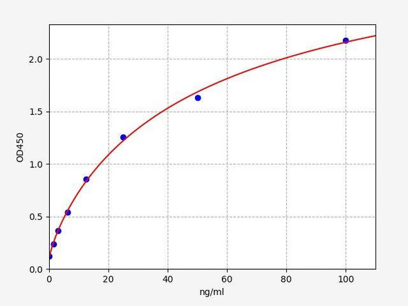 Rat GGT1 ColorStep ELISA Kit (AEFI03531)