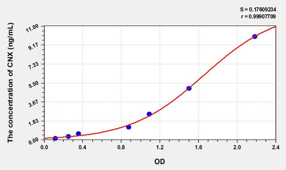 Human CNX (Calnexin) ELISA Kit (AEKE01087)