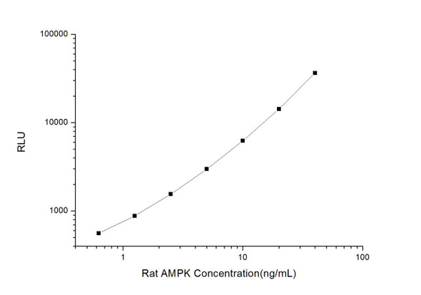 Rat AMPK (Phosphorylated Adenosine Monophosphate Activated Protein Kinase) CLIA Kit (AEES03376)