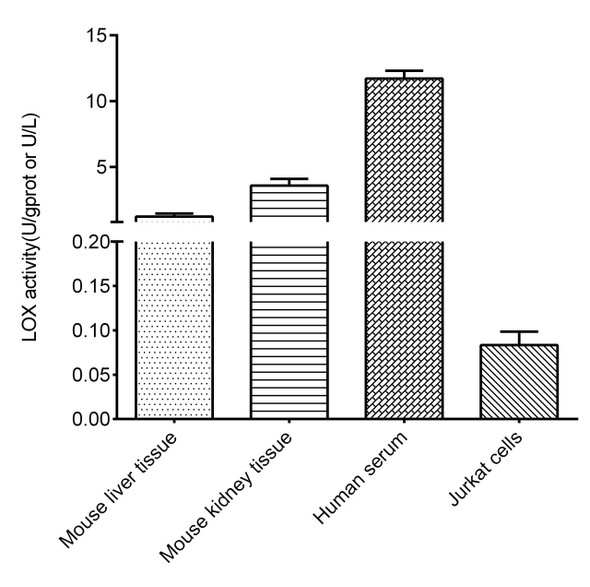 Lipoxygenase (LOX) Activity Fluorometric Assay Kit (MAES0320)