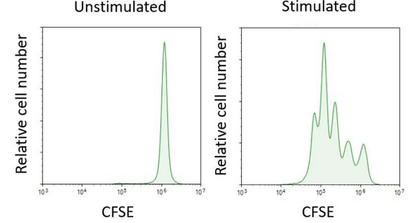 Human CD3/CD28 T Cell Activation Beads (AKES212)