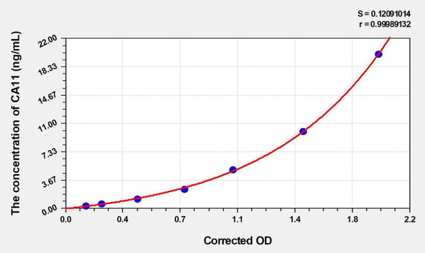 Human CA11 (Carbonic Anhydrase 11) ELISA Kit (AEKE02955)
