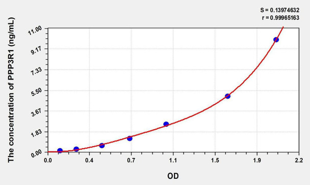 Rat PPP3R1 (Protein Phosphatase 3, Regulatory Subunit 1) ELISA Kit (AEKE05471)