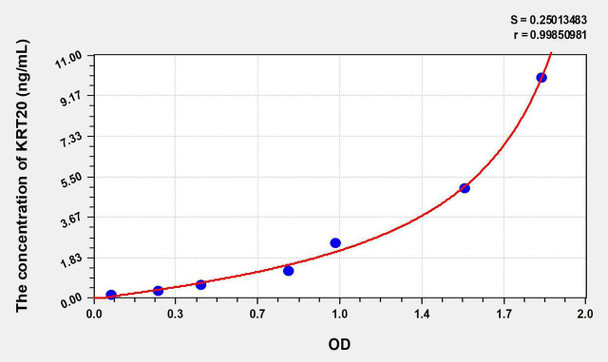 Human KRT20 (Keratin 20) ELISA Kit (AEKE06102)