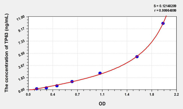Human TP63 (Tumor Protein P63) ELISA (Small Sample Volume) (AEKE07369)