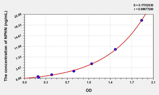 Rat NPHN (Nephrin) ELISA Kit (AEKE07756)